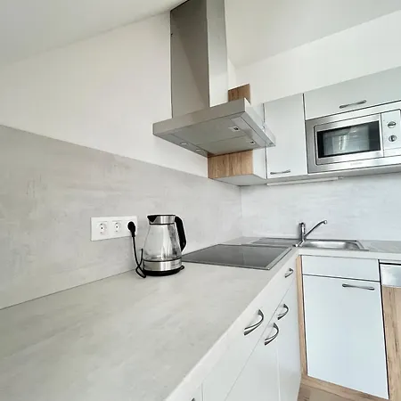 Apartment Reinisch *