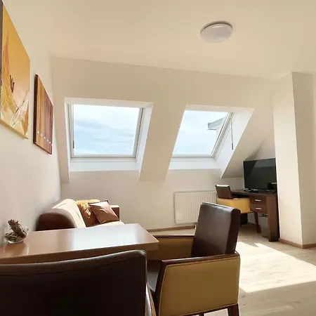 Apartament Reinisch *