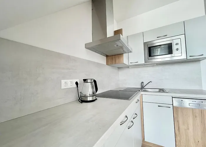 Apartment Reinisch *