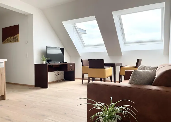 Reinisch Apartment Schwechat